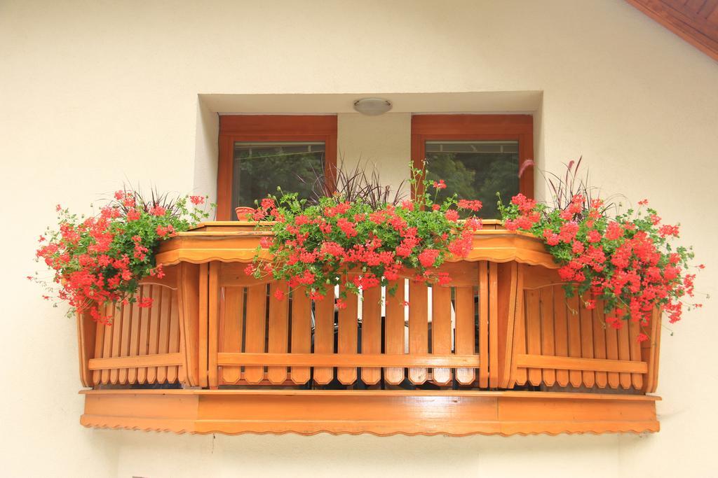 Apartment Natur Bled Bilik gambar